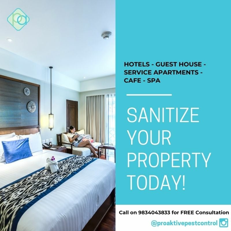 Proaktive Pest Control Services | Termite Treatment | General Pest Management for Ants Cockroaches Lizards - 5