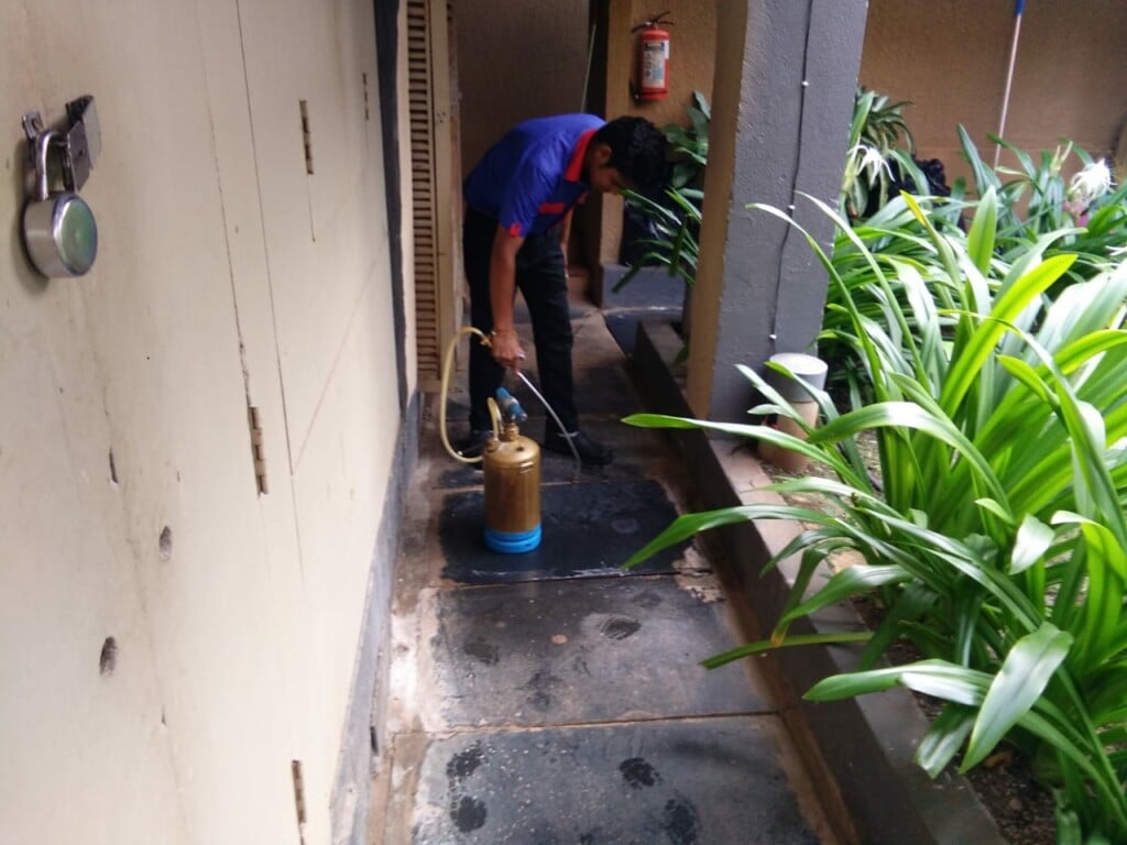 PEST ASSASSINS GOA - 4