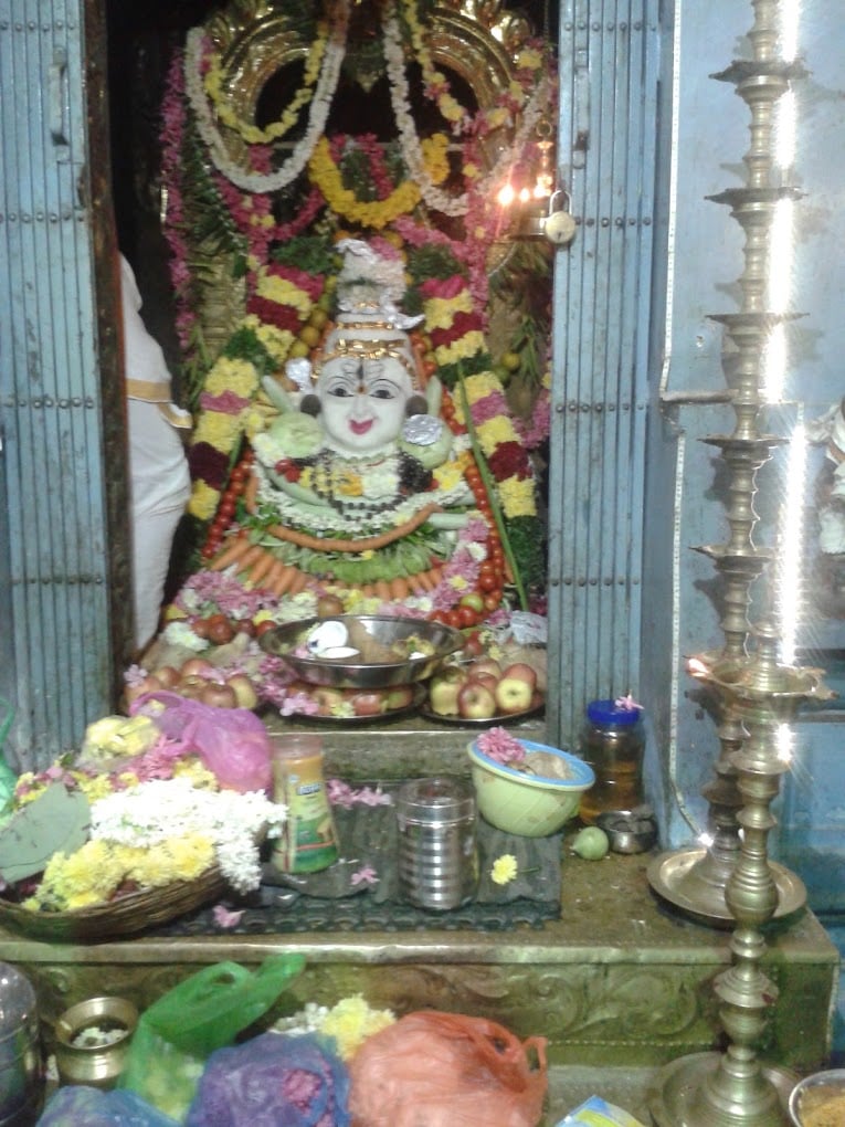 Blue Moon Gift Shop Puducherry