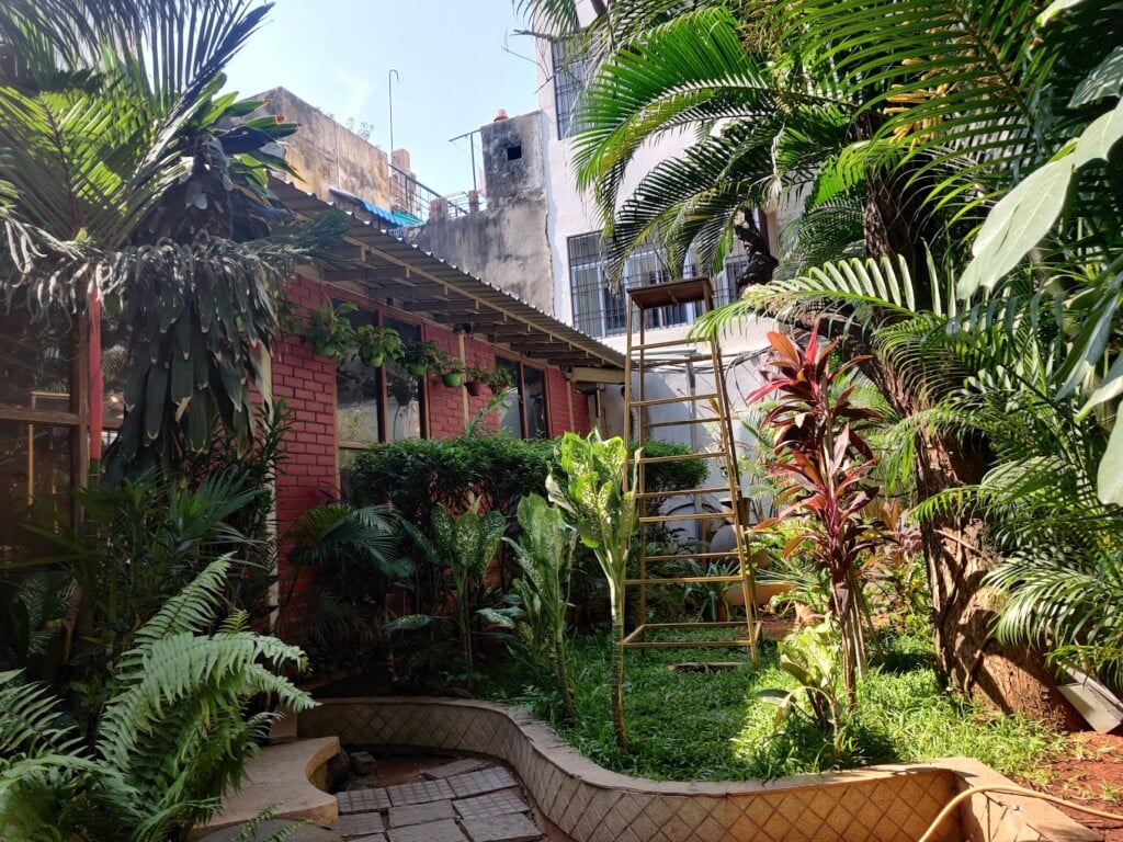 Surguru Restaurant - 2