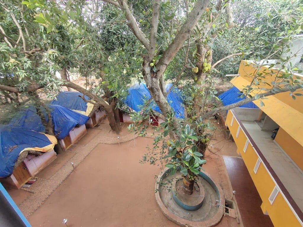 Auro Resort & Swimming Pool - 4