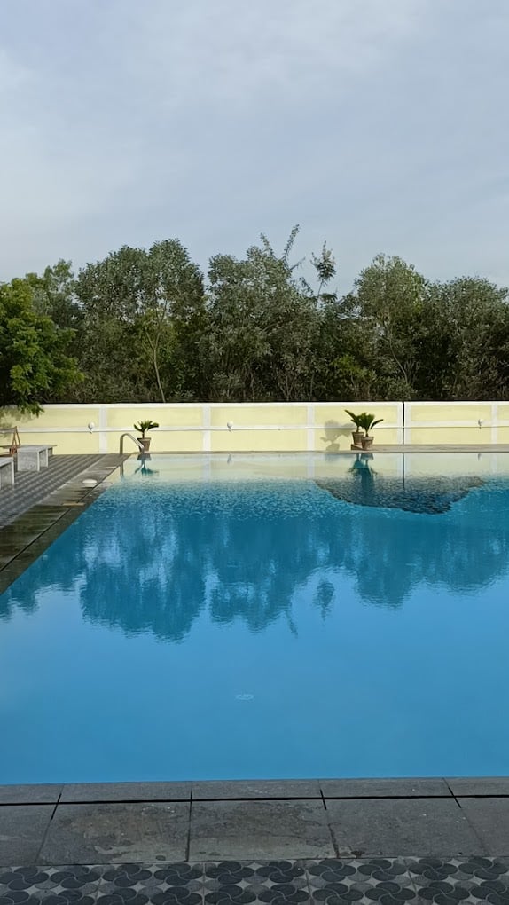 Dinesh Swimming School ( Swimming Classes In pondicherry and Chennai - 3