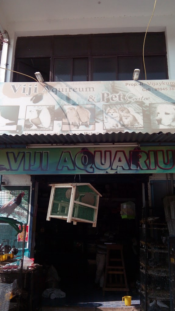 Viji Aquarium & Pet Centre - 5