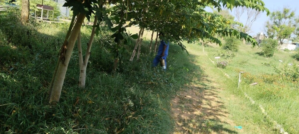 Sri Ganapathy Pest Management & Services � PEST CONTROL SERVICE / TERMITE CONTROL / WATERPROOFING CONTRACTORS IN PONDICHERRY - 5