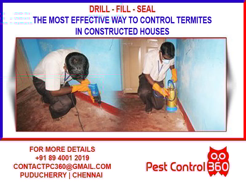 Pest Control 360 - 2