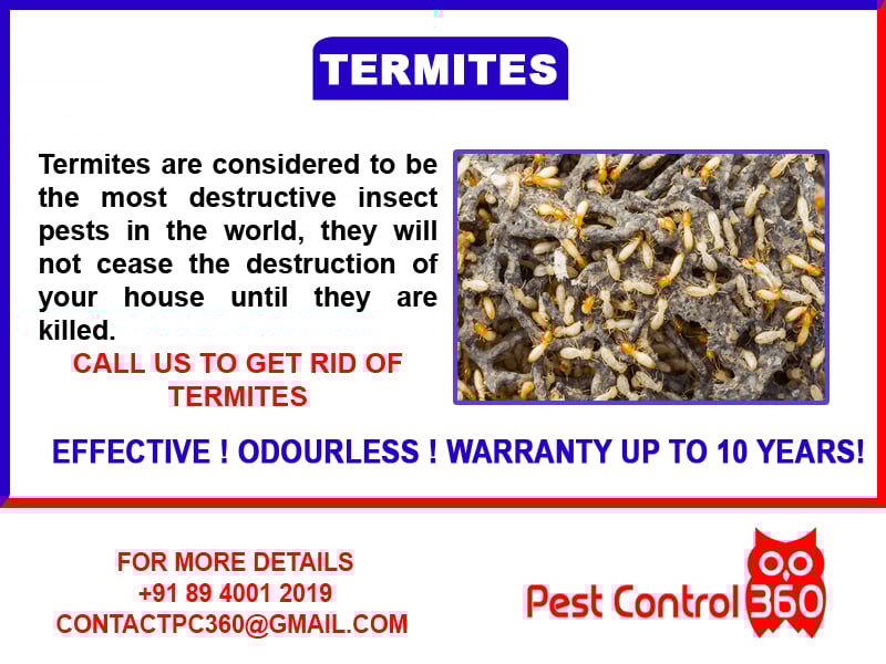 Pest Control 360 - 3