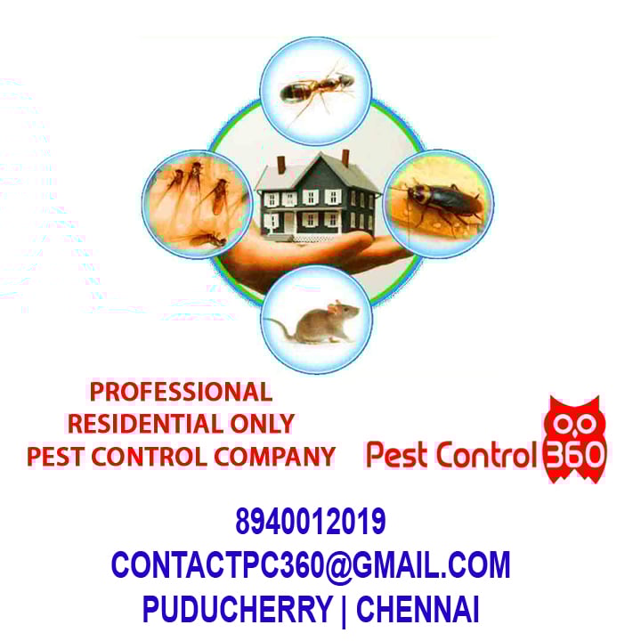 Pest Control 360 - 4