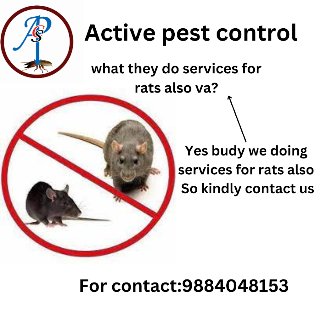 Active Pest Control - Cockroaches/Industrial/Mosquitoes/Eco Friendly/Herbal/Bedbugs/Best Pest Control in Pondicherry - 4
