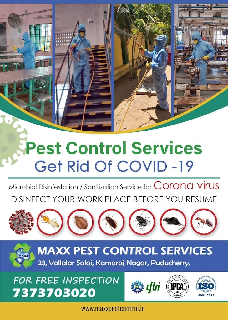 MAXX PEST CONTROL SERVICES