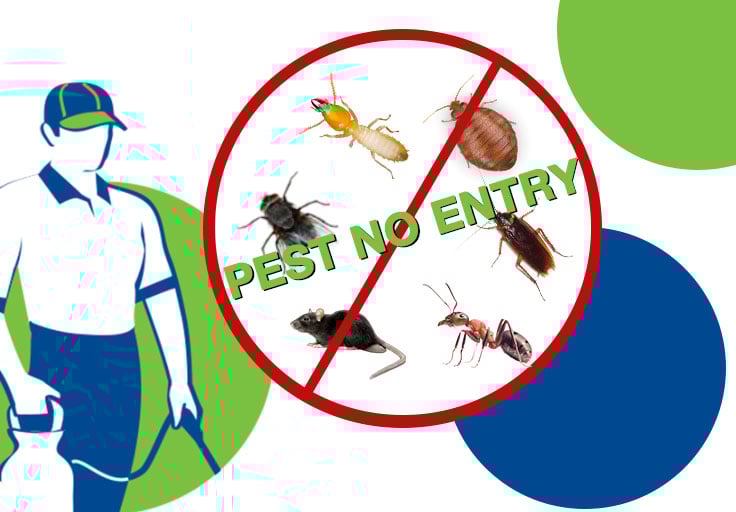 MAXX PEST CONTROL SERVICES - 3
