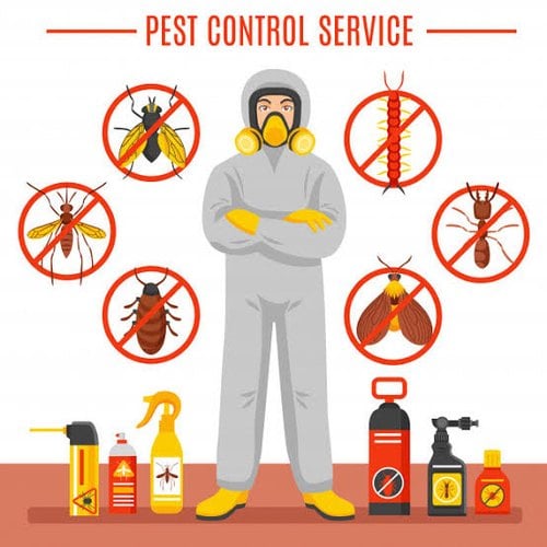 VFMS pest control