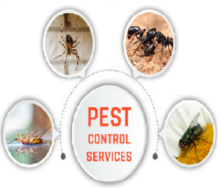 VFMS pest control - 2