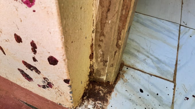 KRT Pest Control Service - 5