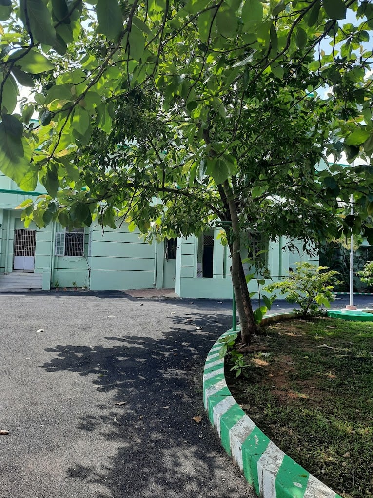 School of Excellence in Law