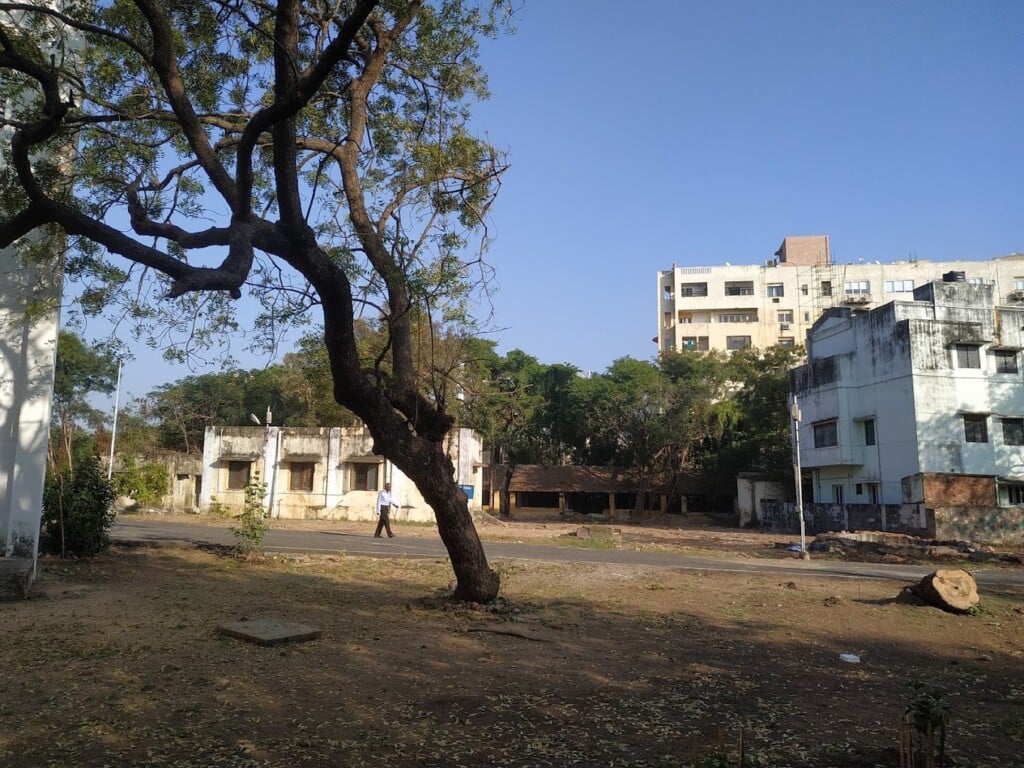 Tamilnadu Government Music College - 2