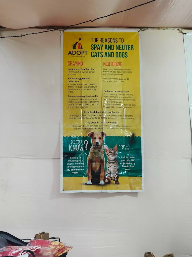 Chettinad - Sath Sadhana - 2