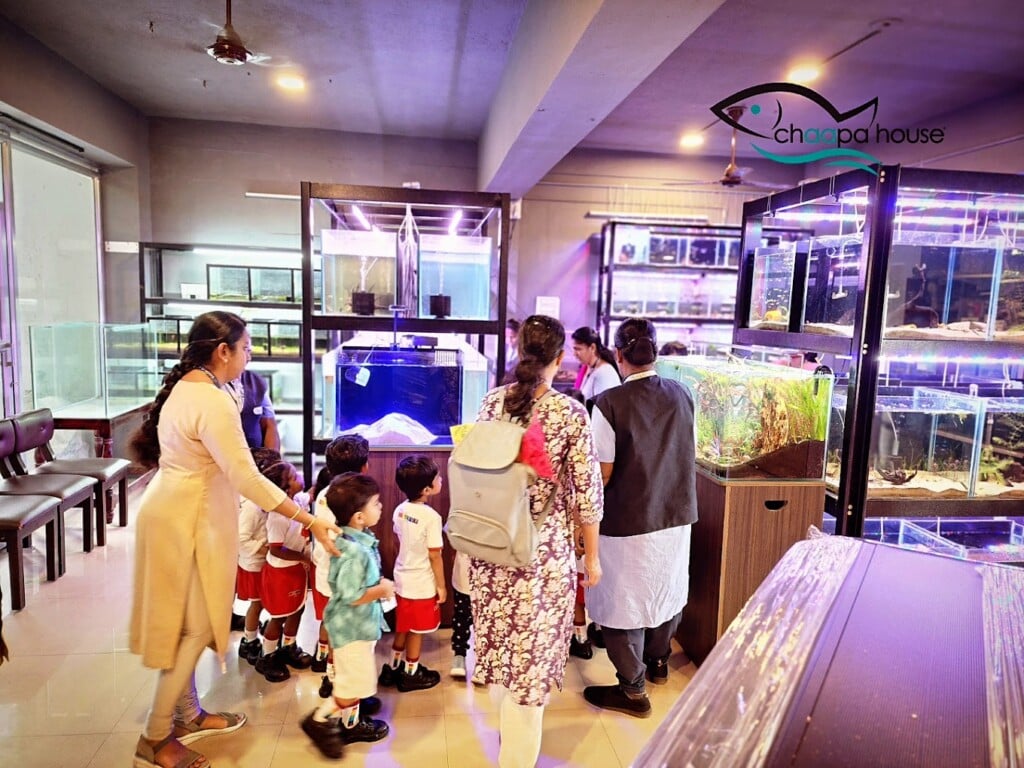 VIBGYOR High Coimbatore | CBSE School - 2