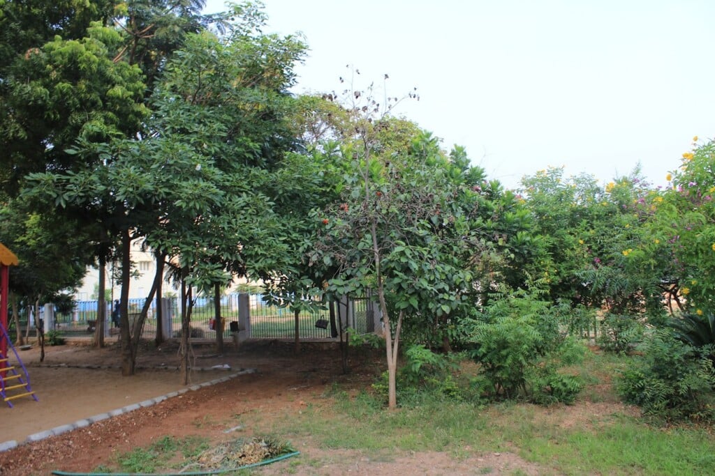 Stanes Nursery School - 4