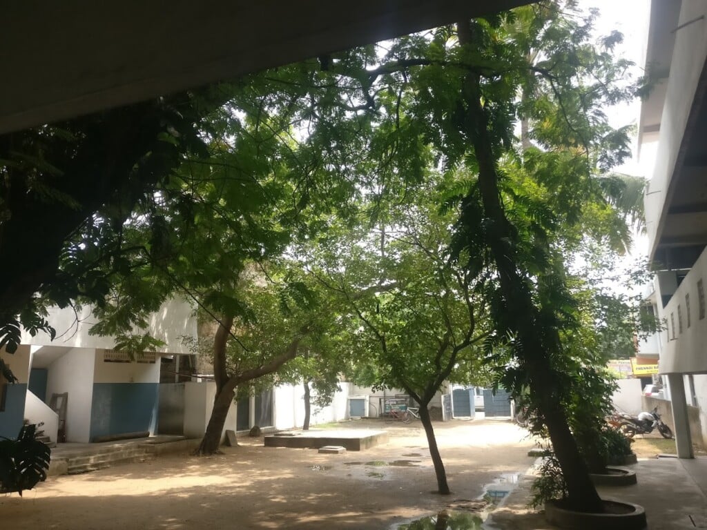 Shakespeare Matriculation School - 5