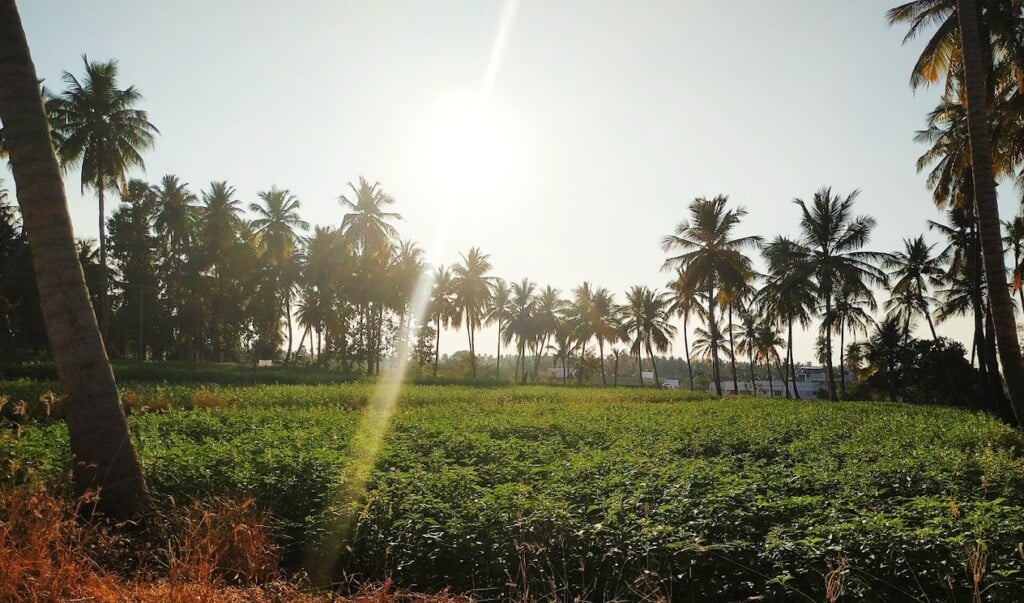 Green Park Matric Higher Secondary School, Erode - 2
