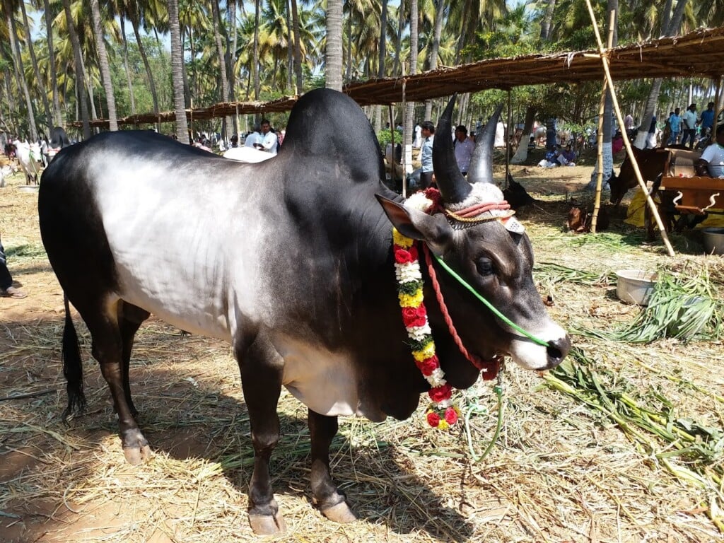 AET Matriculation Higher Secondary School - 4