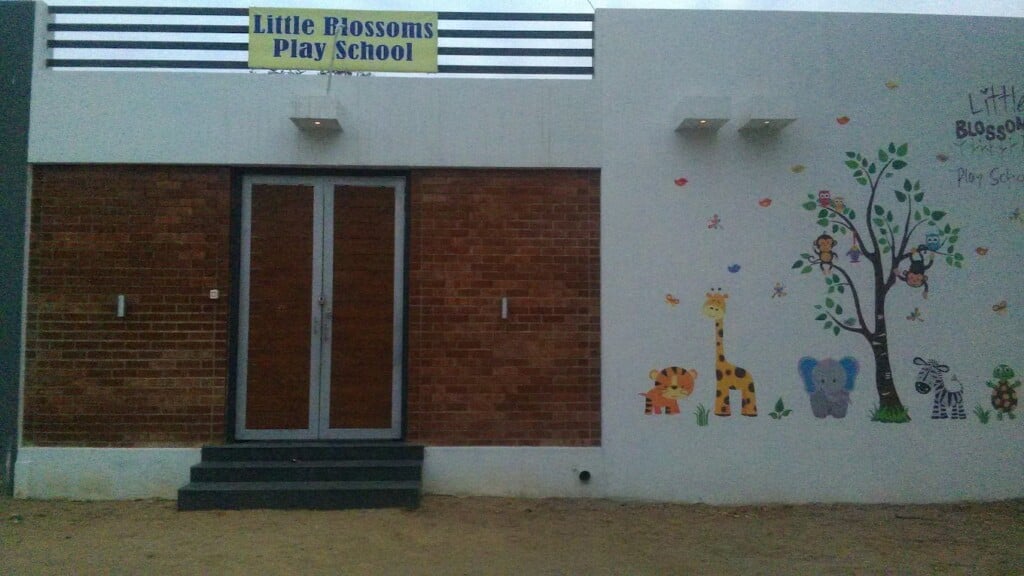 Little Blossoms Play School - 3