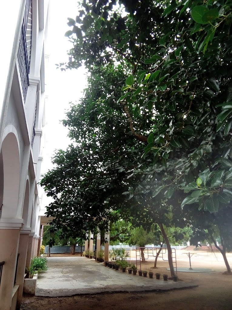 Rose Mary Public School (CBSE) - 2
