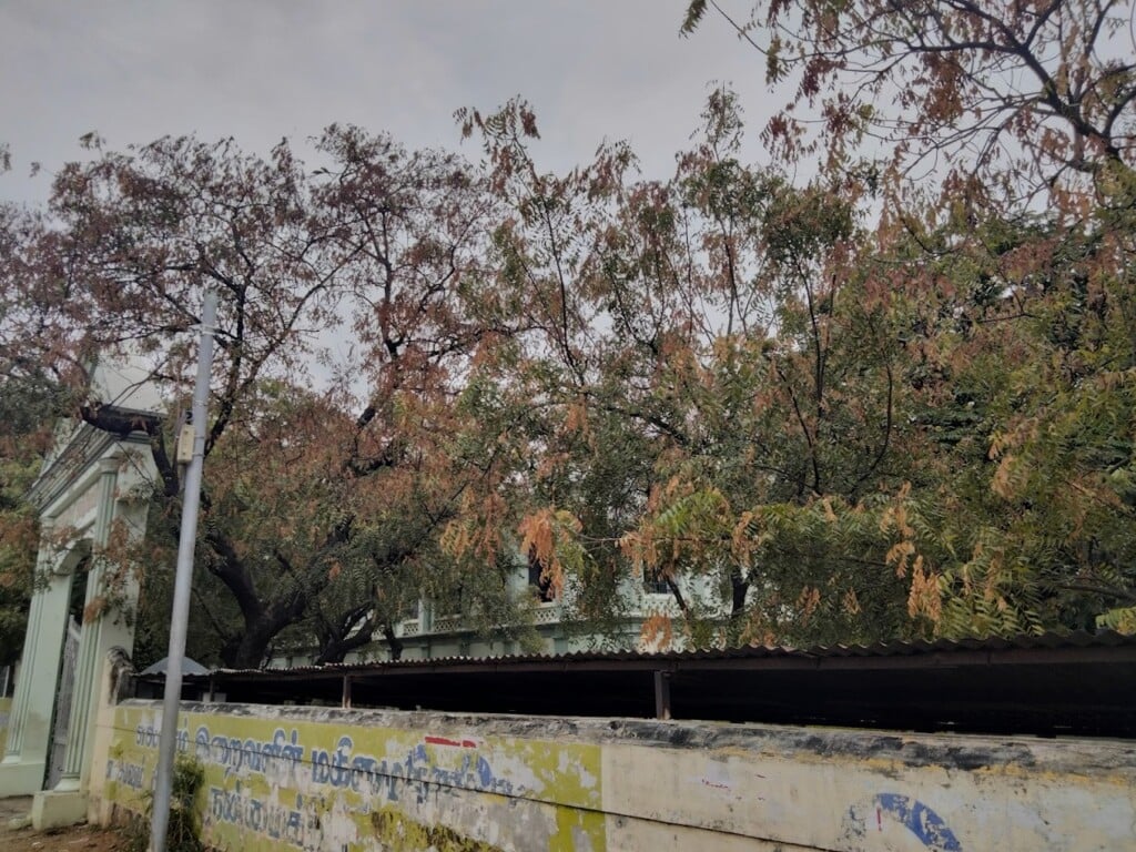 St. Xavier's Higher Secondary School - Palayamkottai - 5