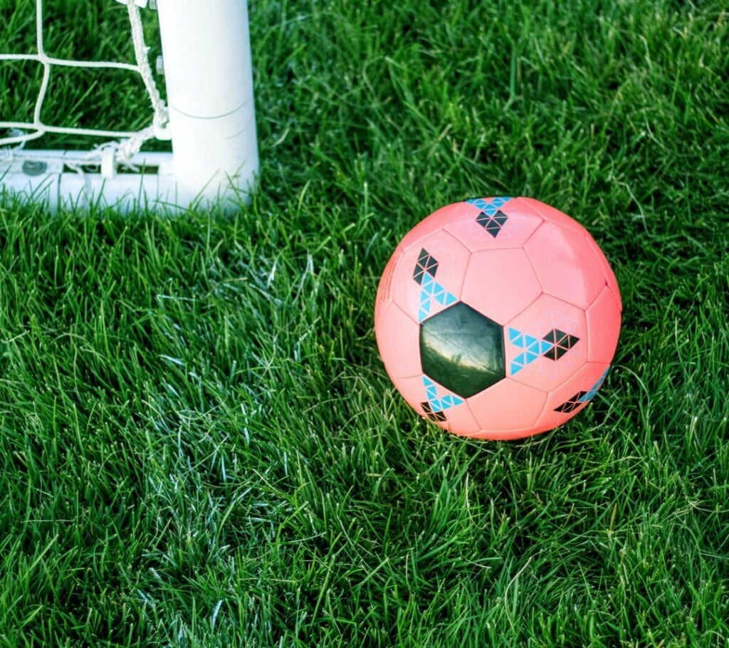 Spark Sr.Sec.School (CBSE) - 4