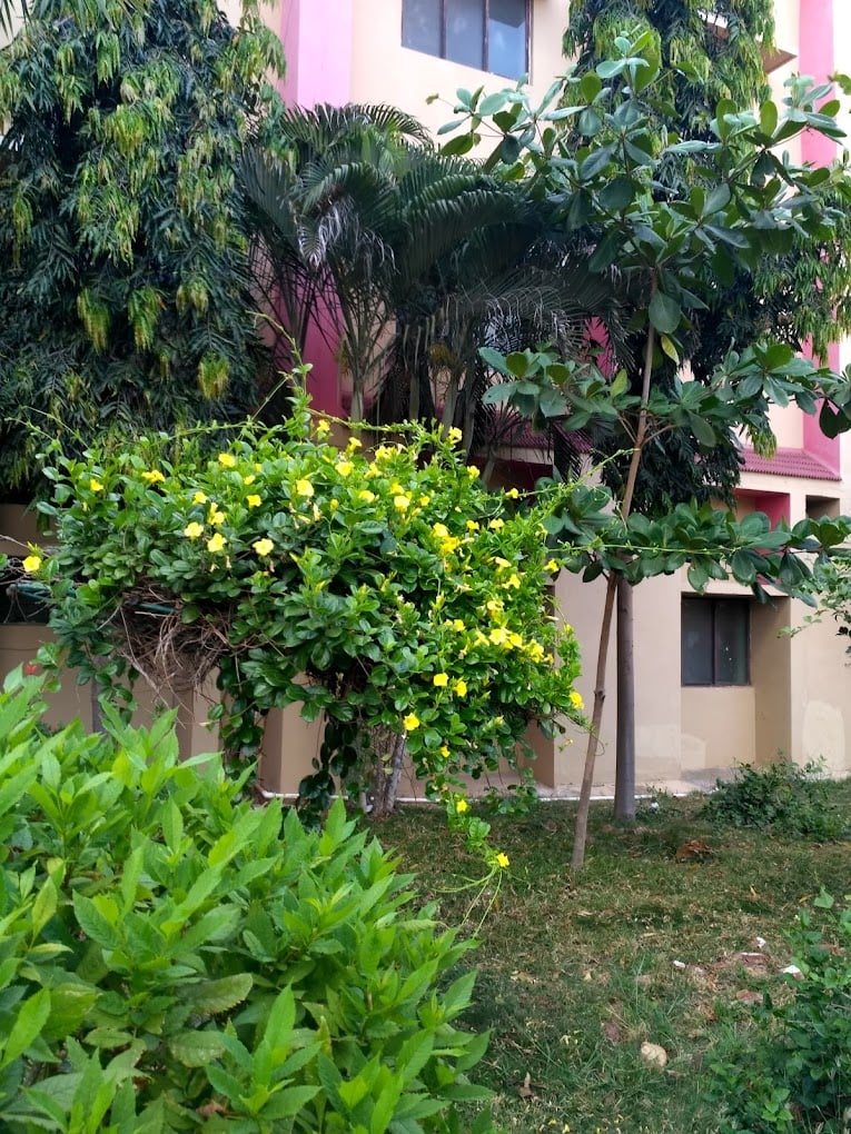 St. Patrick's Academy Matriculation Higher Secondary School - 2