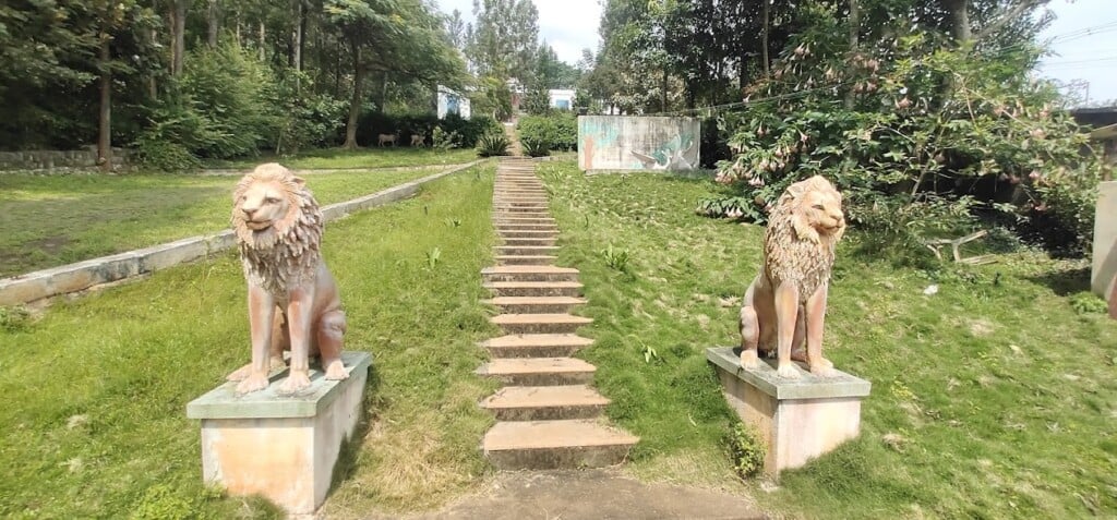 Hillock International School - 3