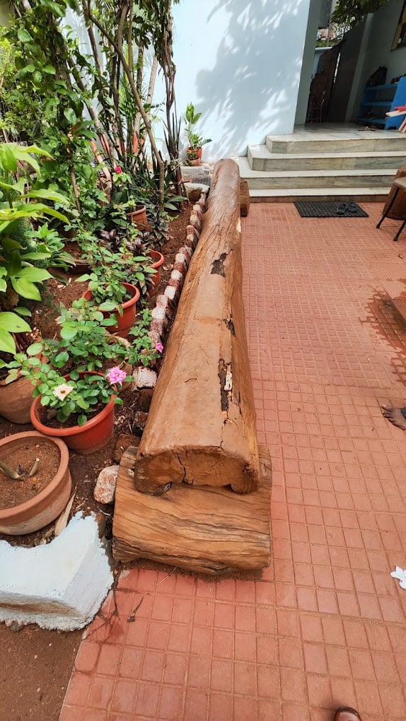 Blooming Buds Montessori School