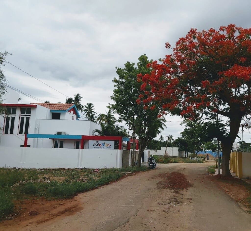 iGenius Kids International Preschool