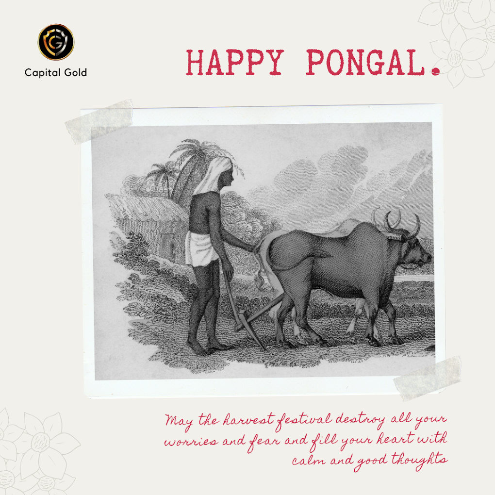 Capital Gold Buyers - 5