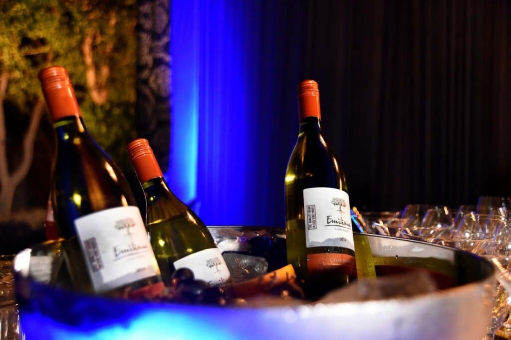 Vibe Catering (Unit of Vibe By The LaLiT Traveller) - 5