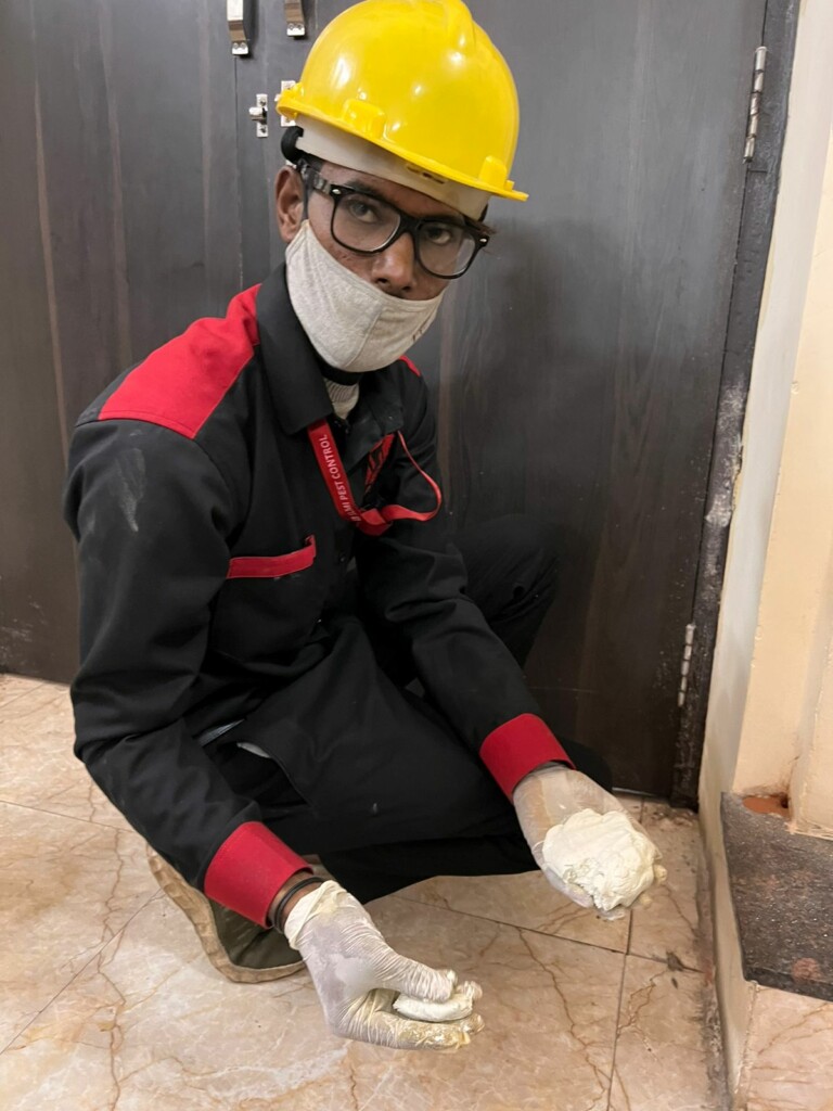SLMI Pest Control Lucknow - 2