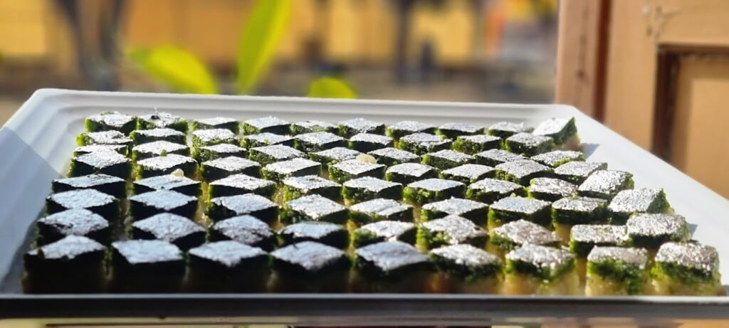 Shri sai caterers jodhpur (A sister concern of Nirvighna Event) - 3