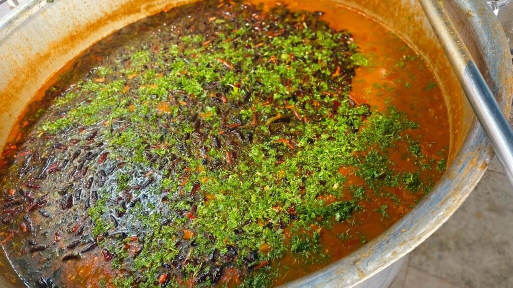 Mysore Food Factory - 3