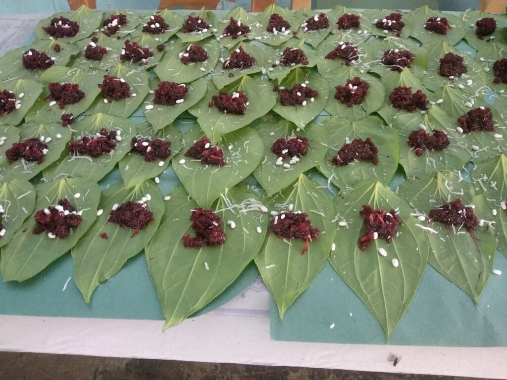 Aalaya Event Planner -Catering service | Stage Decorator - 5