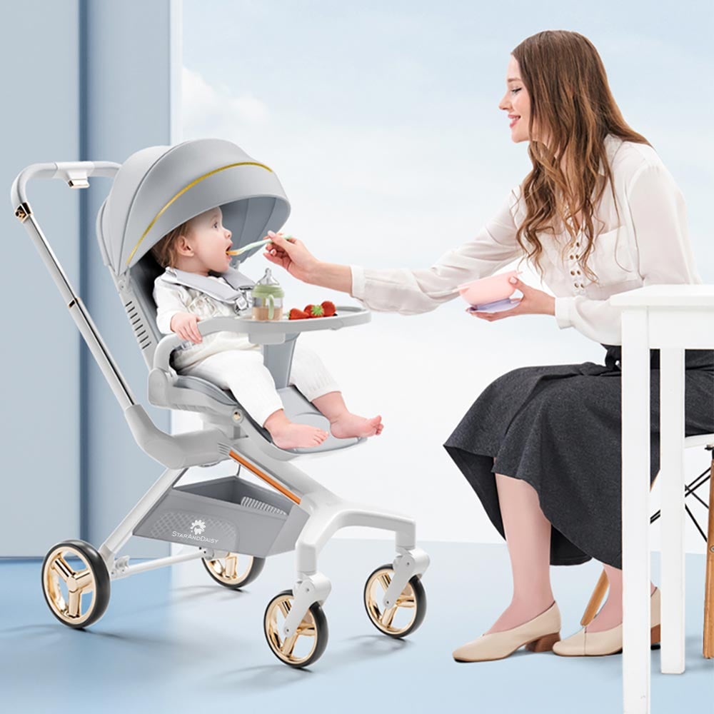 Starland IT Solution - SEO, Digital Marketing Company in Ahmedabad, India