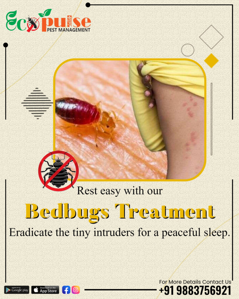 ECOPULSE PEST MANAGEMENT - 5