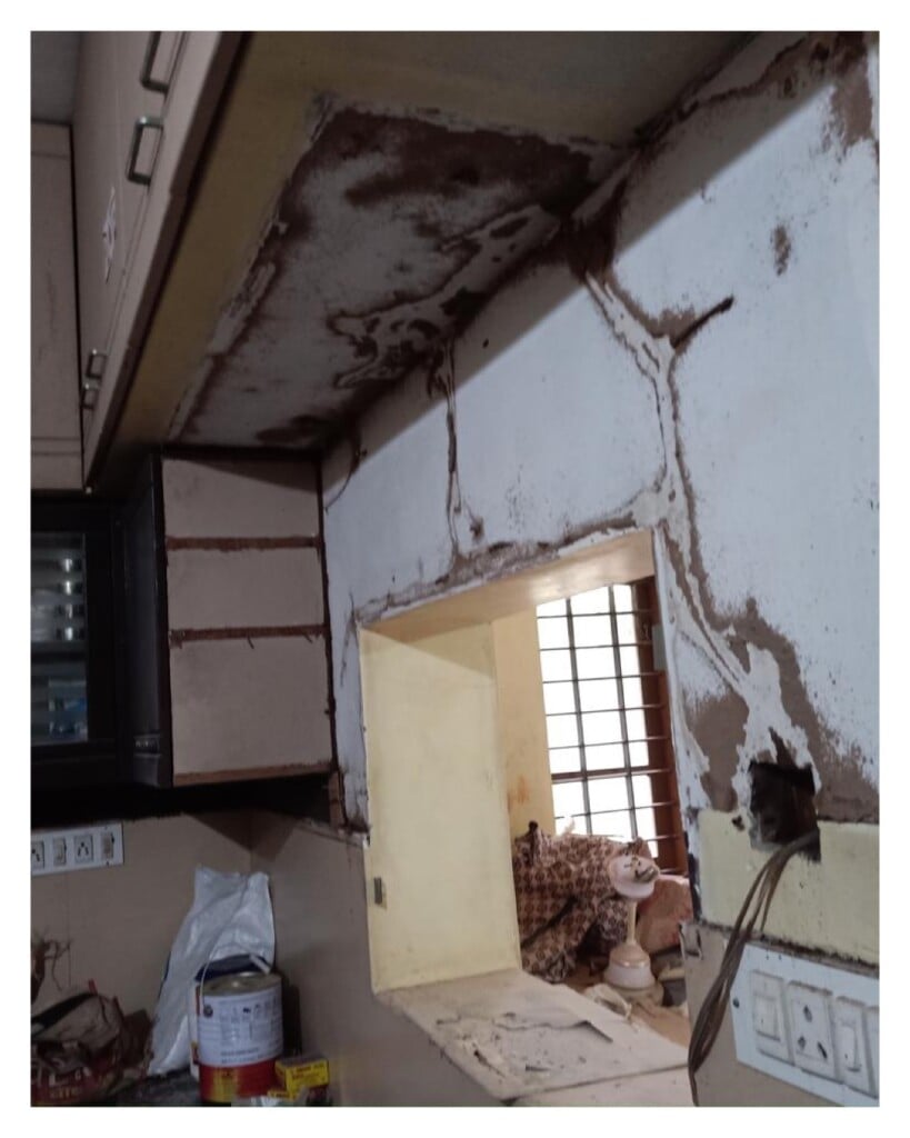 PLAN C CLEANING SOLUTIONS - 2