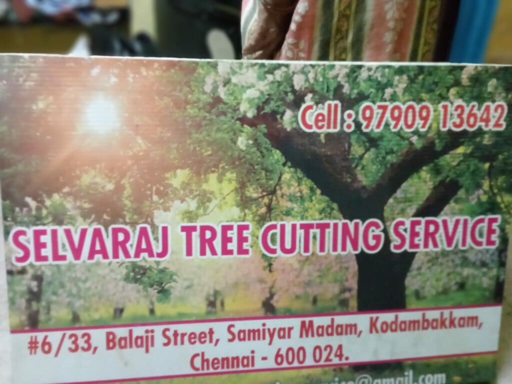 Selvaraj Tree Cutting Service | Tree Cutting Service