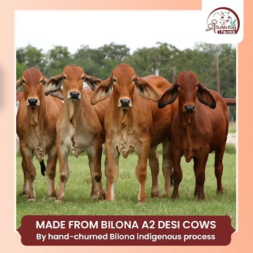 Shri Surbhi Kunj Farms