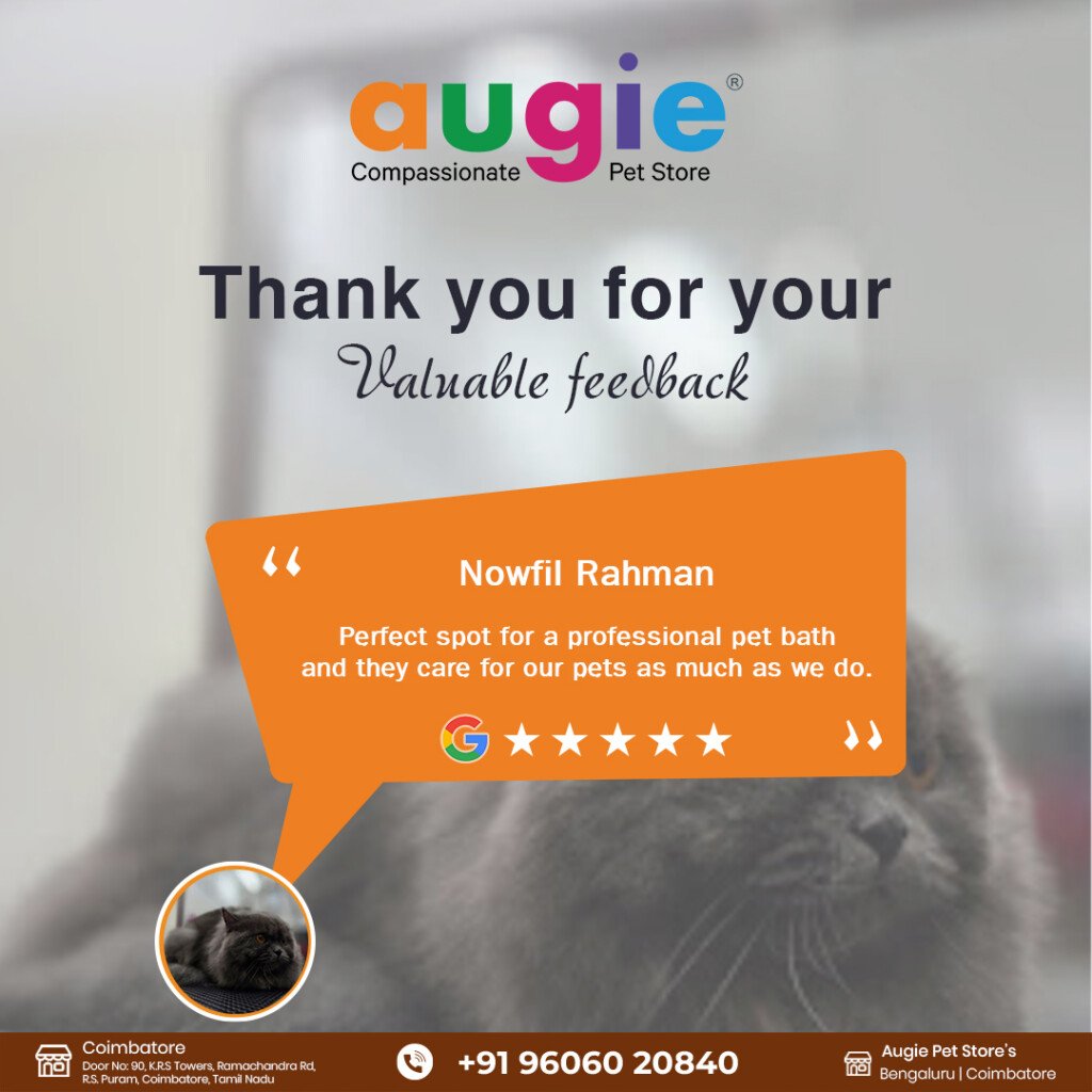 Augie Pets - Pet Shop | Pet Grooming | Vet Clinic