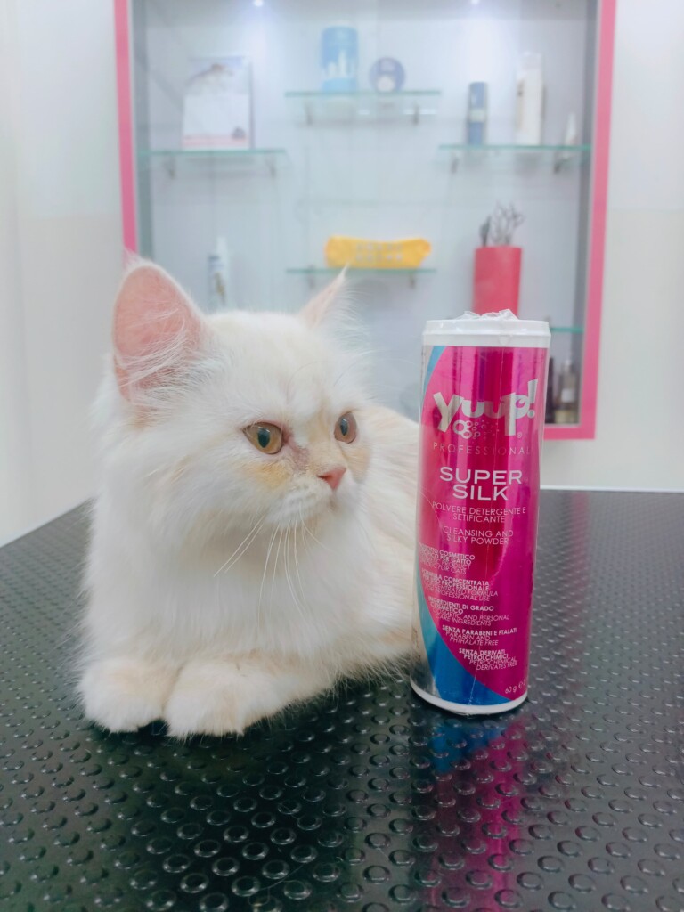 Augie Pets - Pet Shop | Pet Grooming | Vet Clinic - 2