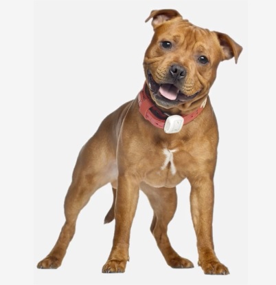 Trakbond - GPS Tracking Device For Dogs - 3