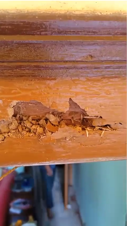 Kundu & Associates - 3