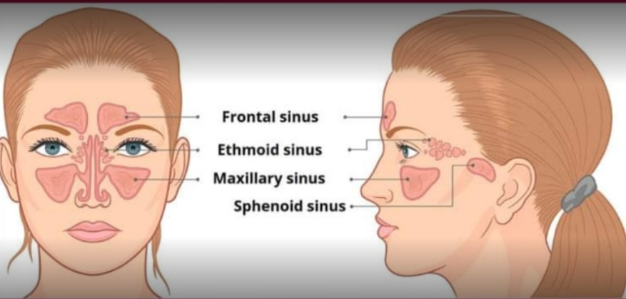 Massage for womens.Home service by professional therapist.service full chennai. - 4