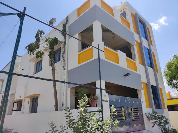 Spider Painting Service - 3